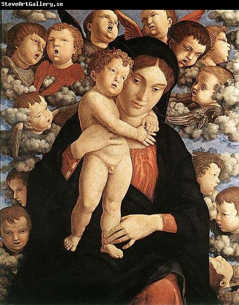 Andrea Mantegna The Madonna of the Cherubim